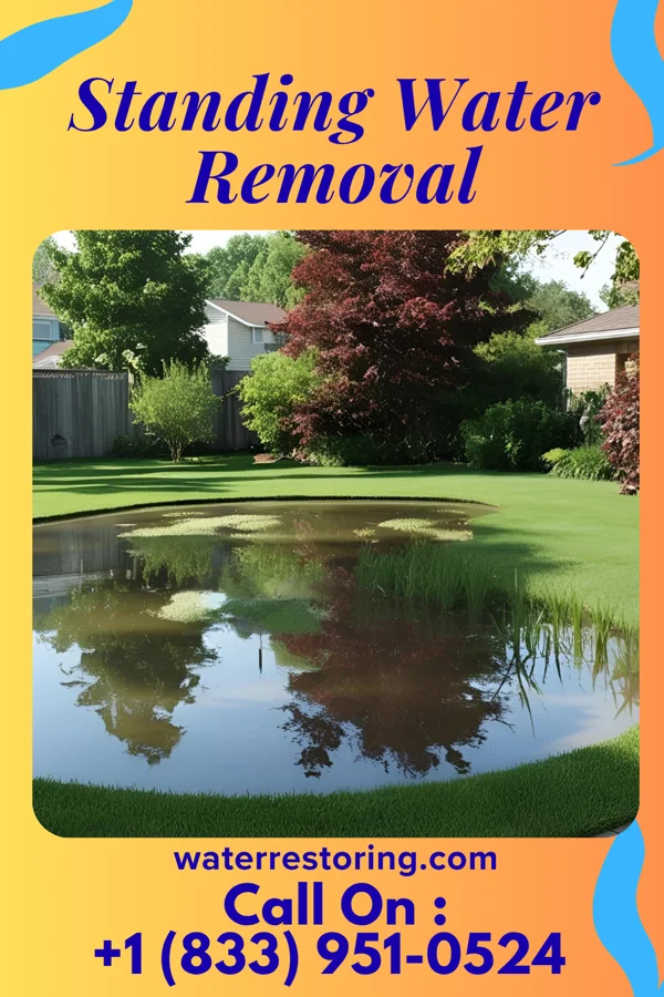 Standing Water Removal in West Salem, WI